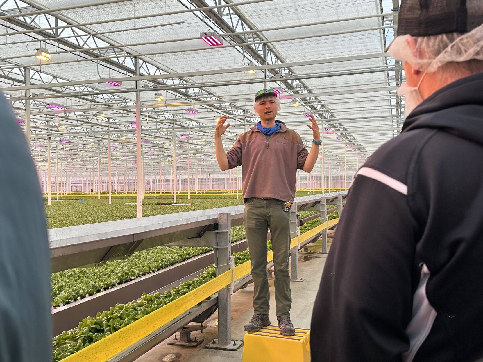 Berlin greenhouse up and growing strong